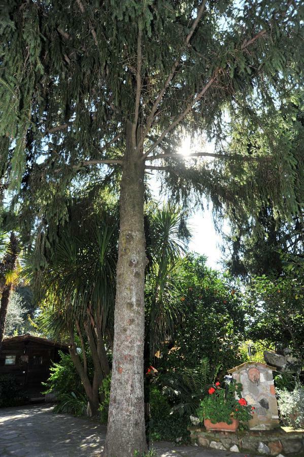 Casa Pontecorvi Acomodação com café da manhã Velletri Exterior foto